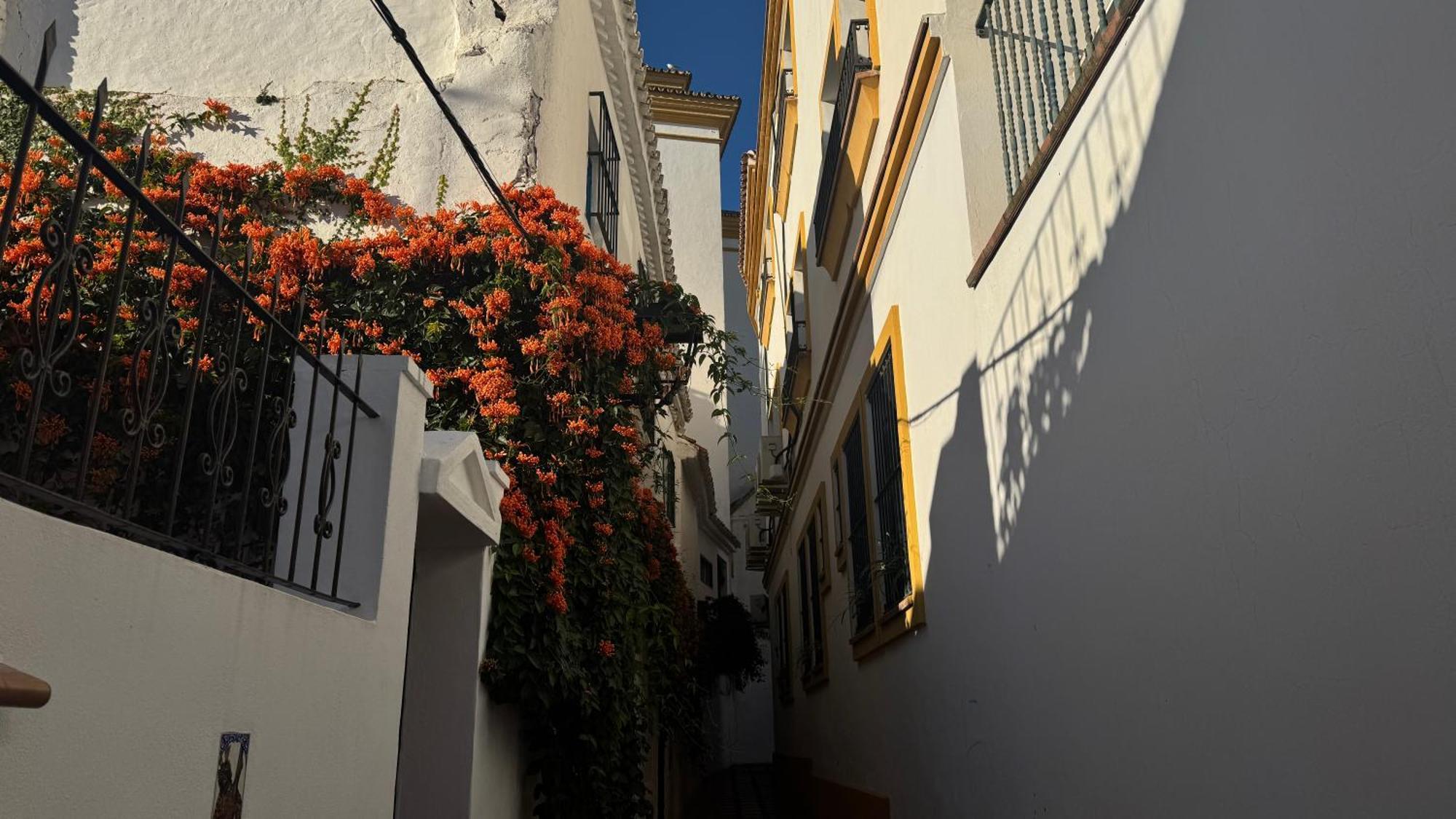 Appartamento Oasis Jacuzzi Retreat Marbella Esterno foto